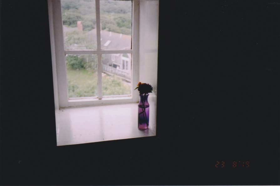 flower in vase on lighthouse windowsill