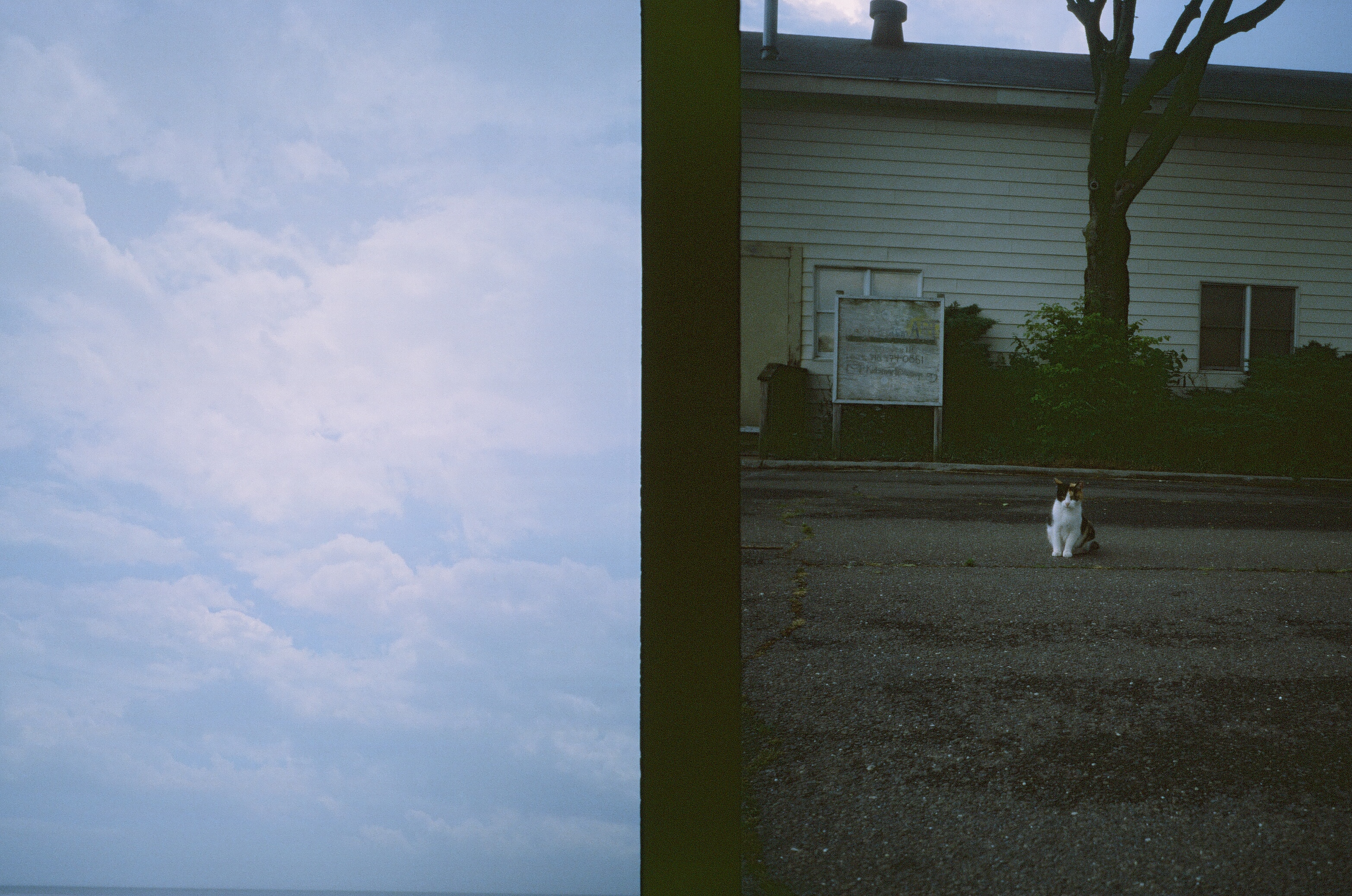 clouds in pale blue sky while a cat sits in an abandoned lot