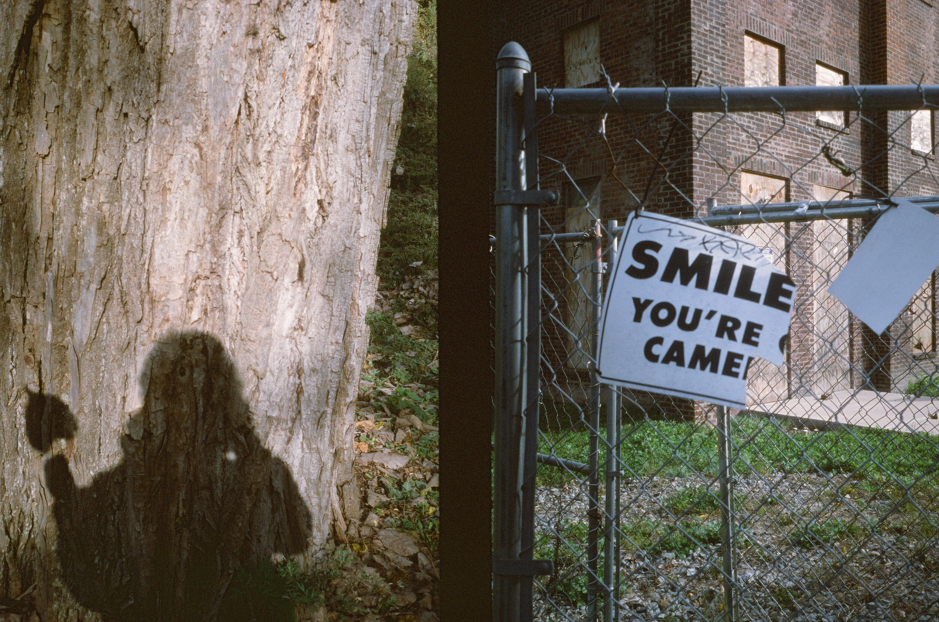 the shadow of the cameraperson holding a leaf cast against a tree and a broken sign reads smile you're came